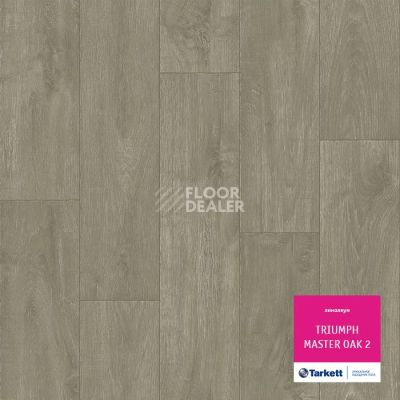 Линолеум Tarkett Triumph MASTER OAK 2 фото 1 | FLOORDEALER
